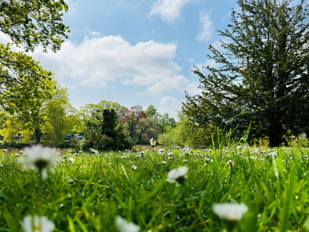 3e559524 59fe 4c67 bfd1 f38fe46b1df6