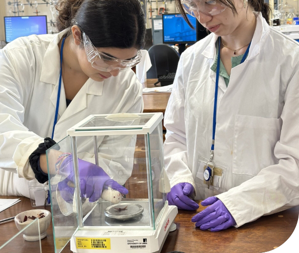 Students conducting laboratory experiment together.