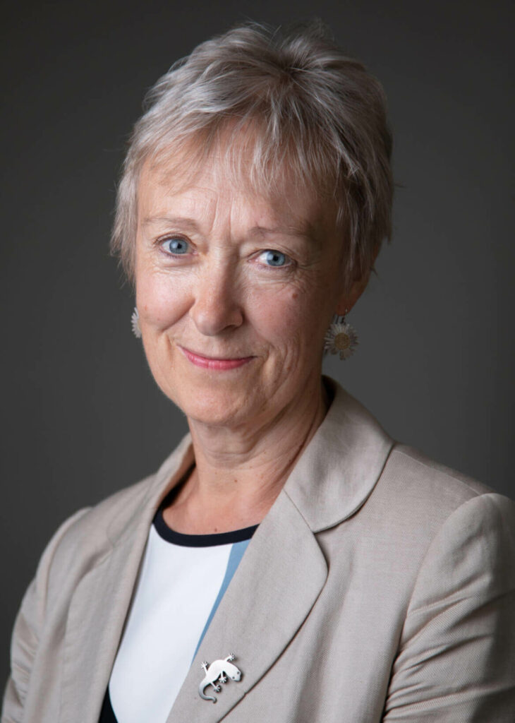 Professor Alison Halstead appointed as Chair of The Smallpeice Trust ...