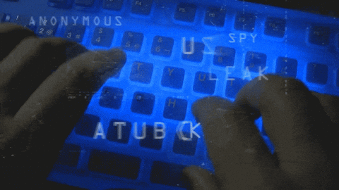 giphy3
